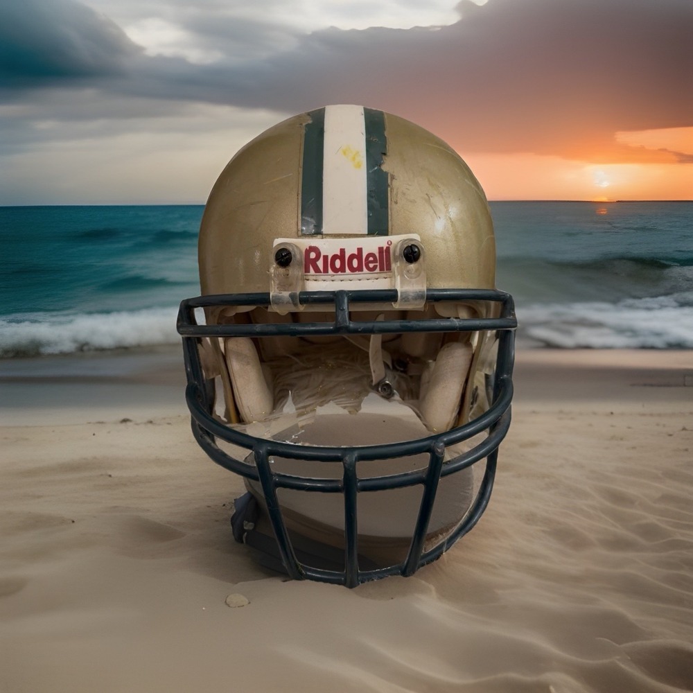 Custom Full Size Ridell Football Helmet  VSR4 Medium Tomas Sumter Academy